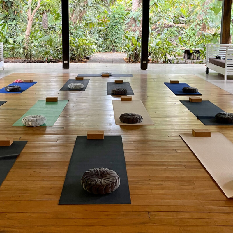 HBAH_Yoga_3_Cropped HBAH_Yoga_3_Cropped
