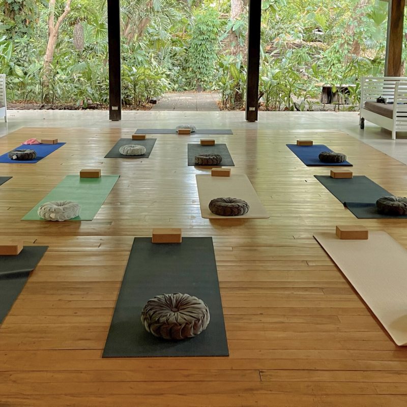 HBAH_Yoga_3_Cropped_Lightroom