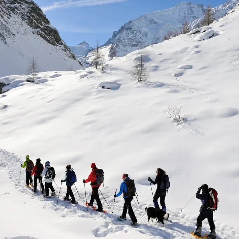 Snowwalking.webp