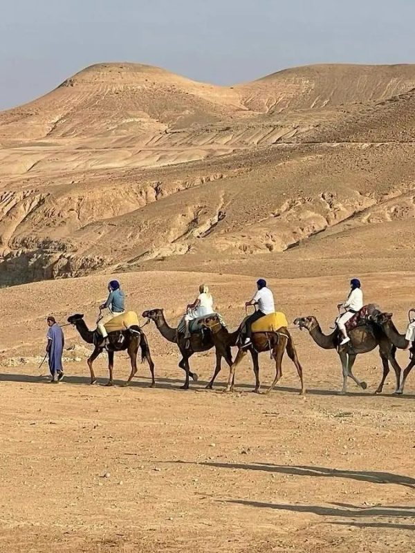 camel-cropped.jpg